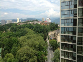Apartment na Vinogradnaya 4